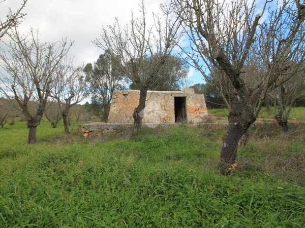 casa indipendente in vendita ad Ostuni