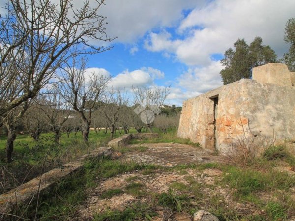 casa indipendente in vendita ad Ostuni