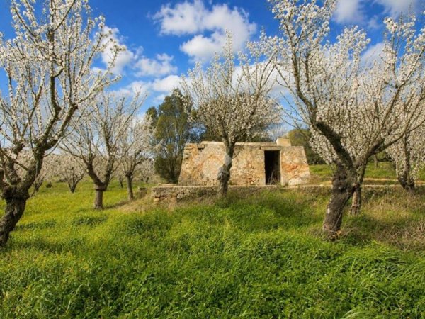 casa indipendente in vendita ad Ostuni