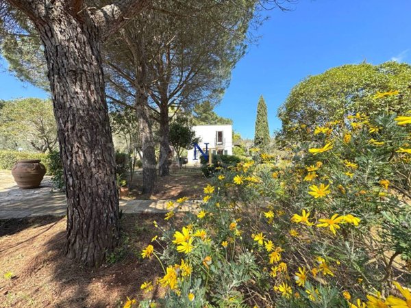 casa indipendente in vendita ad Ostuni