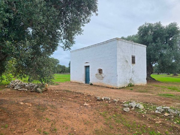 terreno agricolo in vendita ad Ostuni