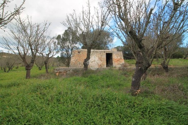 immagine annuncio 0 di 1