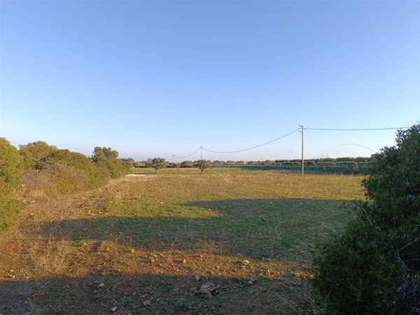 terreno agricolo in vendita ad Ostuni