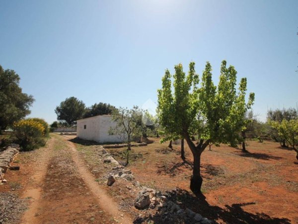 casa indipendente in vendita ad Ostuni