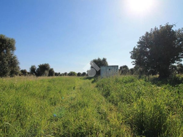 terreno agricolo in vendita ad Ostuni