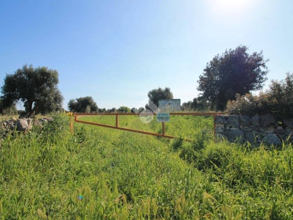 terreno agricolo in vendita ad Ostuni