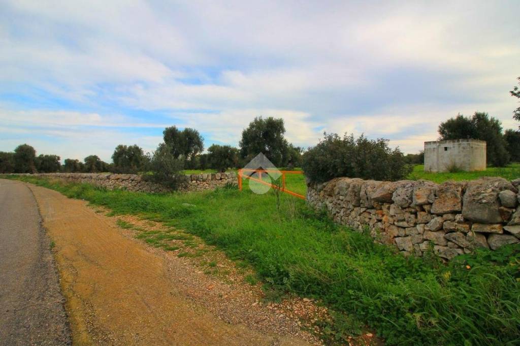 terreno agricolo in vendita ad Ostuni