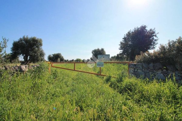 terreno agricolo in vendita ad Ostuni