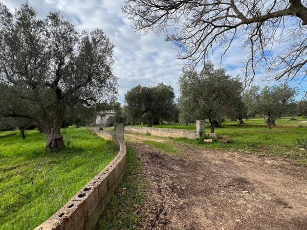 terreno agricolo in vendita ad Ostuni
