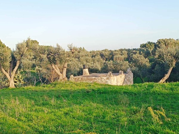casa semindipendente in vendita ad Ostuni