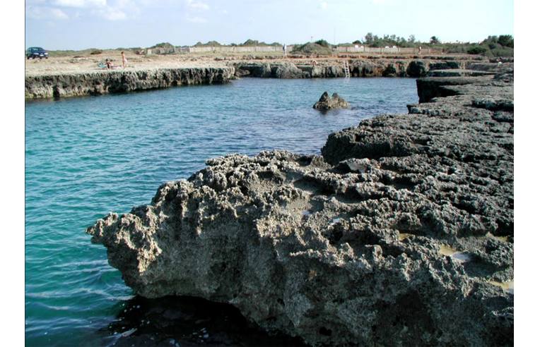 negozio in vendita ad Ostuni
