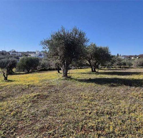 terreno agricolo in vendita ad Ostuni