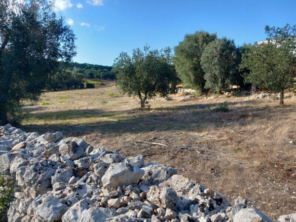 terreno agricolo in vendita ad Ostuni