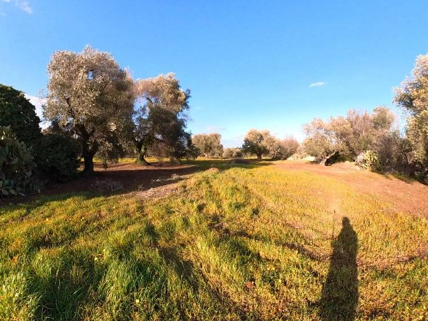 casale in vendita ad Ostuni