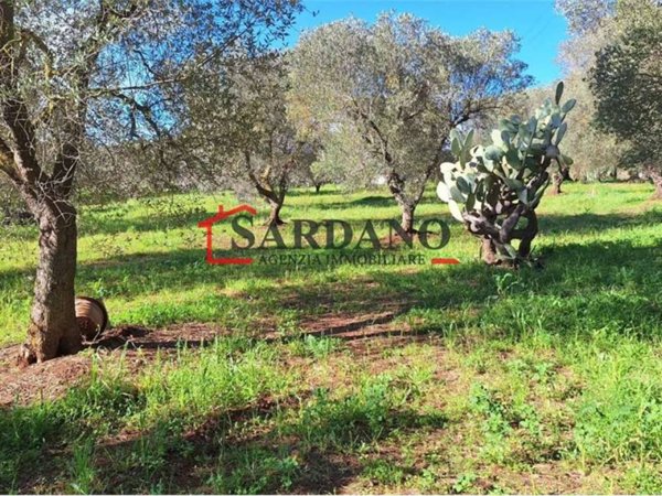 terreno agricolo in vendita ad Ostuni