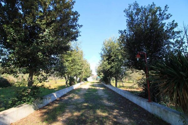 casa indipendente in vendita ad Ostuni