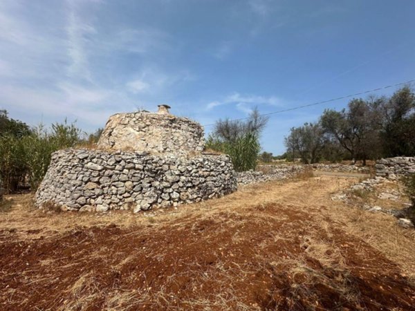 trivano in vendita ad Ostuni