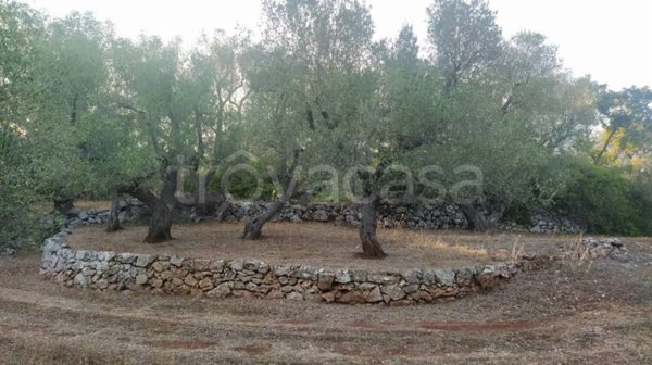 casa indipendente in vendita ad Ostuni