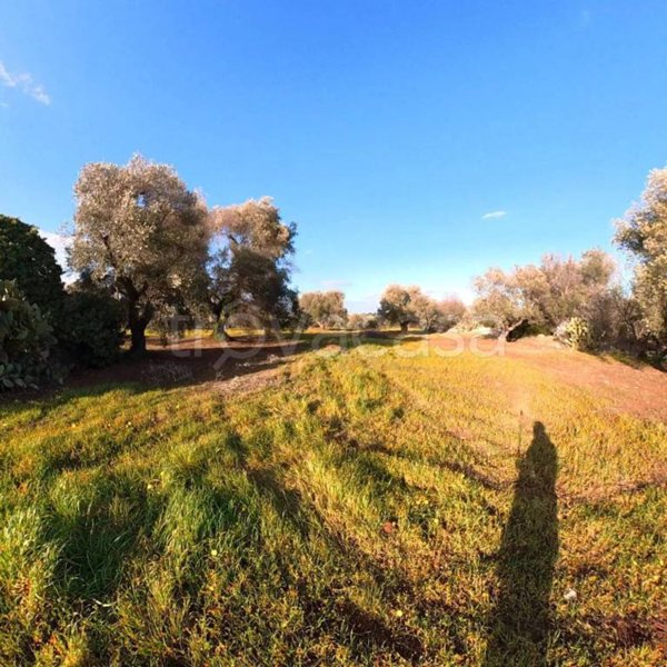 casa indipendente in vendita ad Ostuni