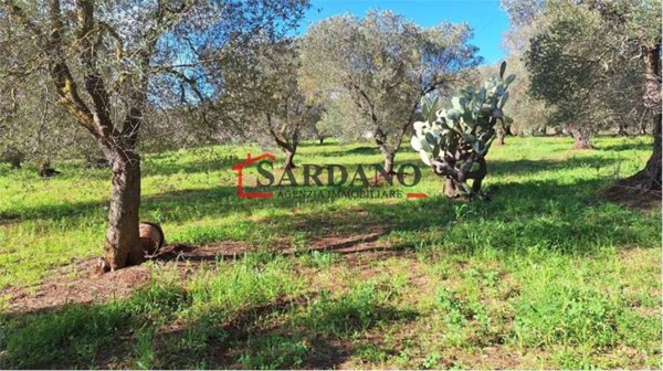 casa indipendente in vendita ad Ostuni