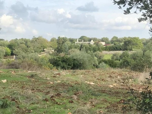 terreno agricolo in vendita ad Ostuni