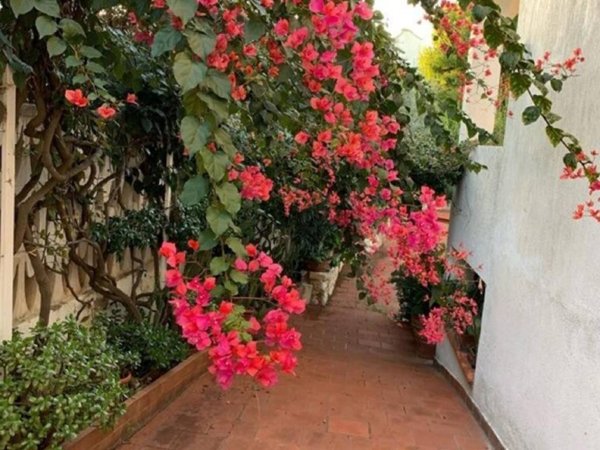 casa indipendente in vendita ad Ostuni