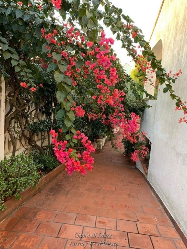 casa indipendente in vendita ad Ostuni