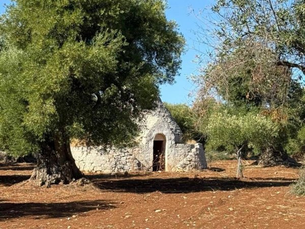 casa indipendente in vendita ad Ostuni