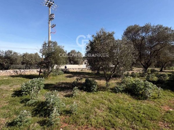 terreno agricolo in vendita ad Ostuni