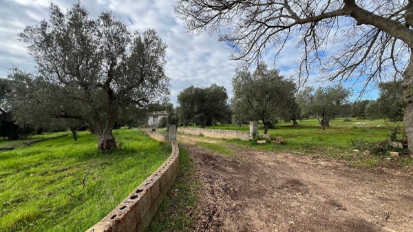 casa indipendente in vendita ad Ostuni