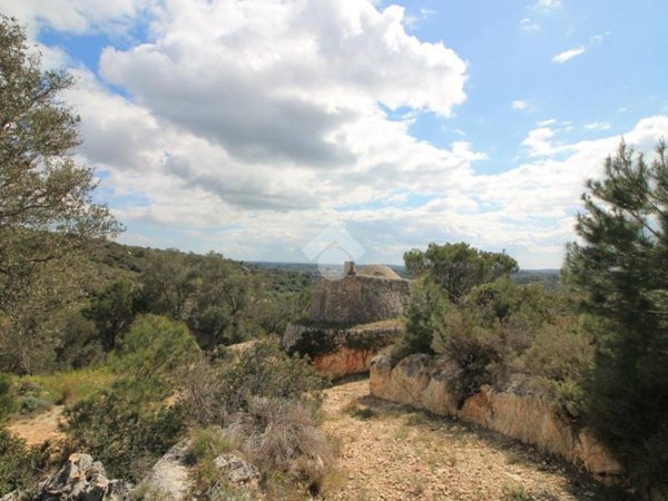 casa indipendente in vendita ad Ostuni