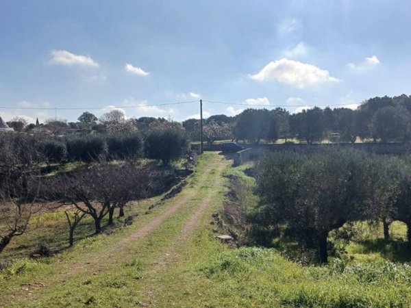terreno agricolo in vendita ad Ostuni