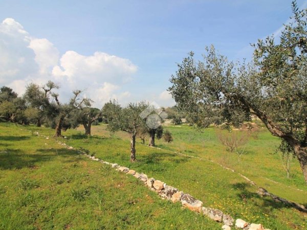 casa indipendente in vendita ad Ostuni