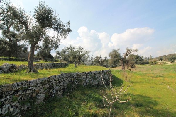 appartamento in vendita ad Ostuni