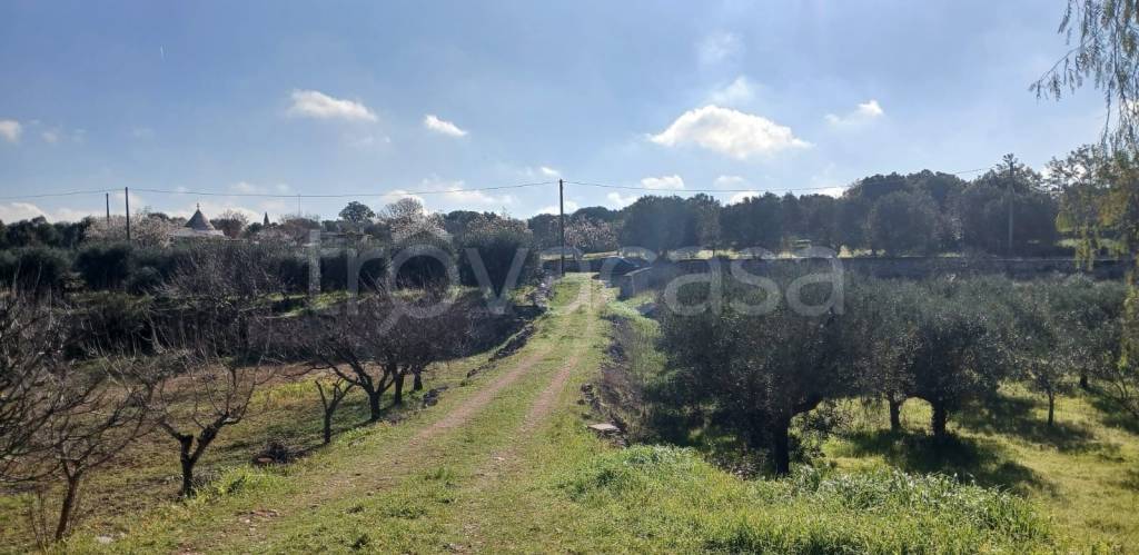 terreno agricolo in vendita ad Ostuni