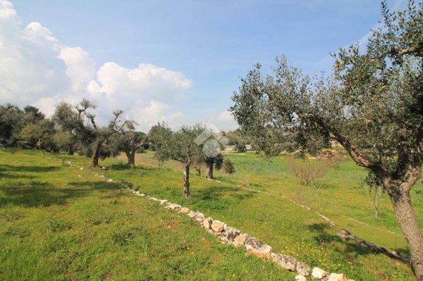 casa indipendente in vendita ad Ostuni