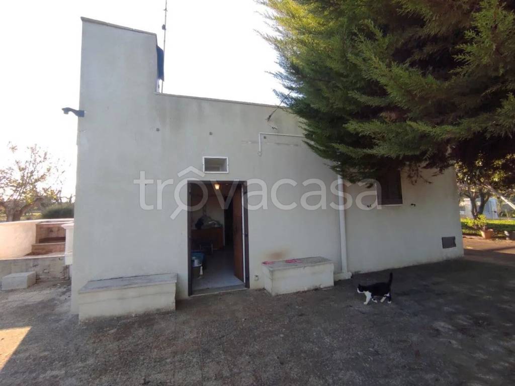 casa indipendente in vendita ad Ostuni