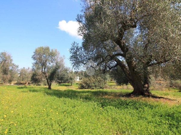 appartamento in vendita ad Ostuni