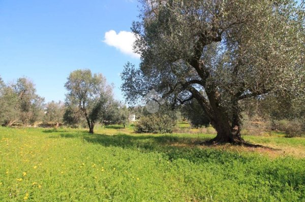 appartamento in vendita ad Ostuni