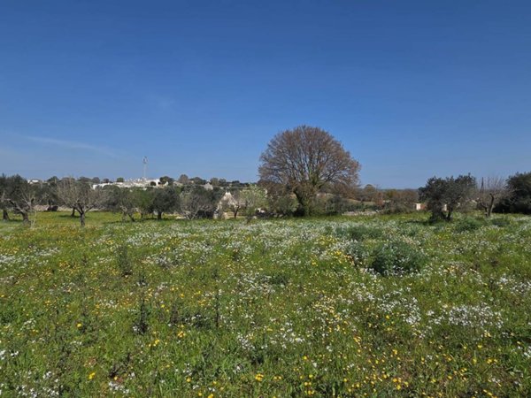 casa indipendente in vendita ad Ostuni