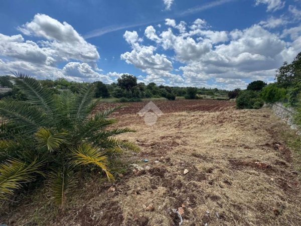 terreno agricolo in vendita ad Ostuni