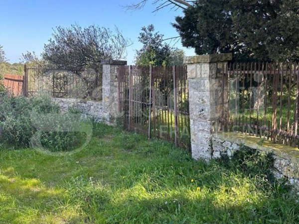terreno agricolo in vendita ad Ostuni