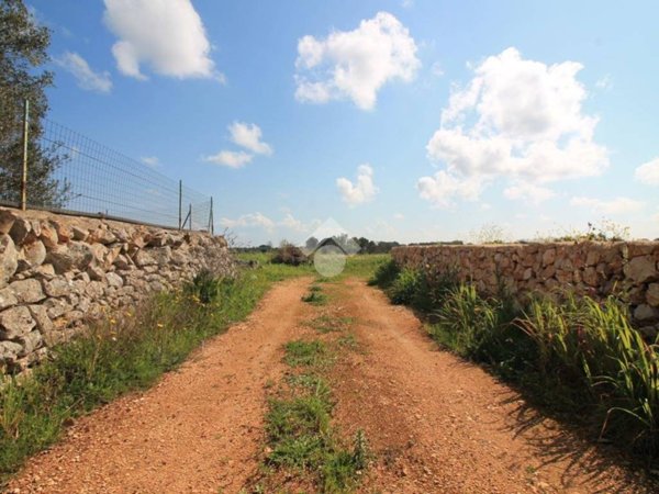 terreno agricolo in vendita ad Ostuni