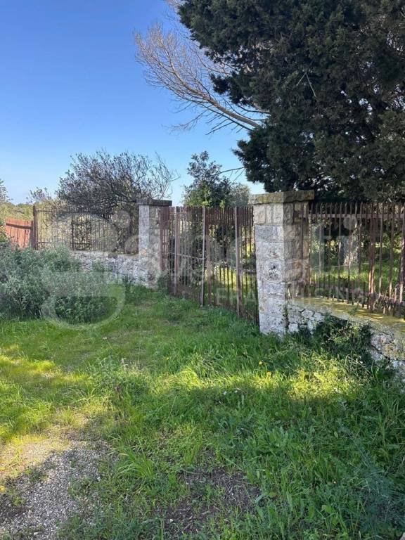 terreno agricolo in vendita ad Ostuni