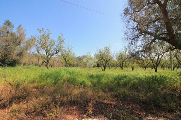 casa indipendente in vendita ad Ostuni