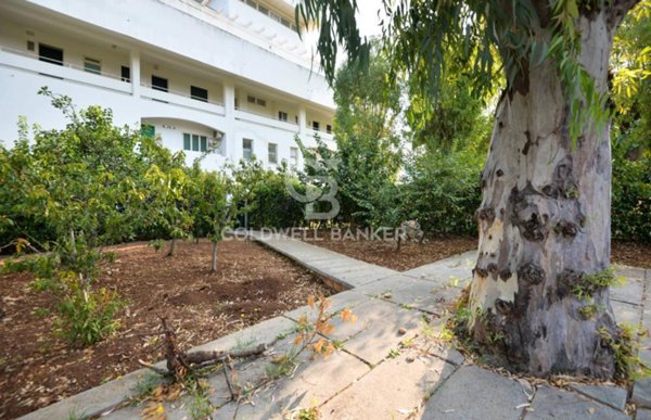 negozio in vendita ad Ostuni in zona Rosa Marina