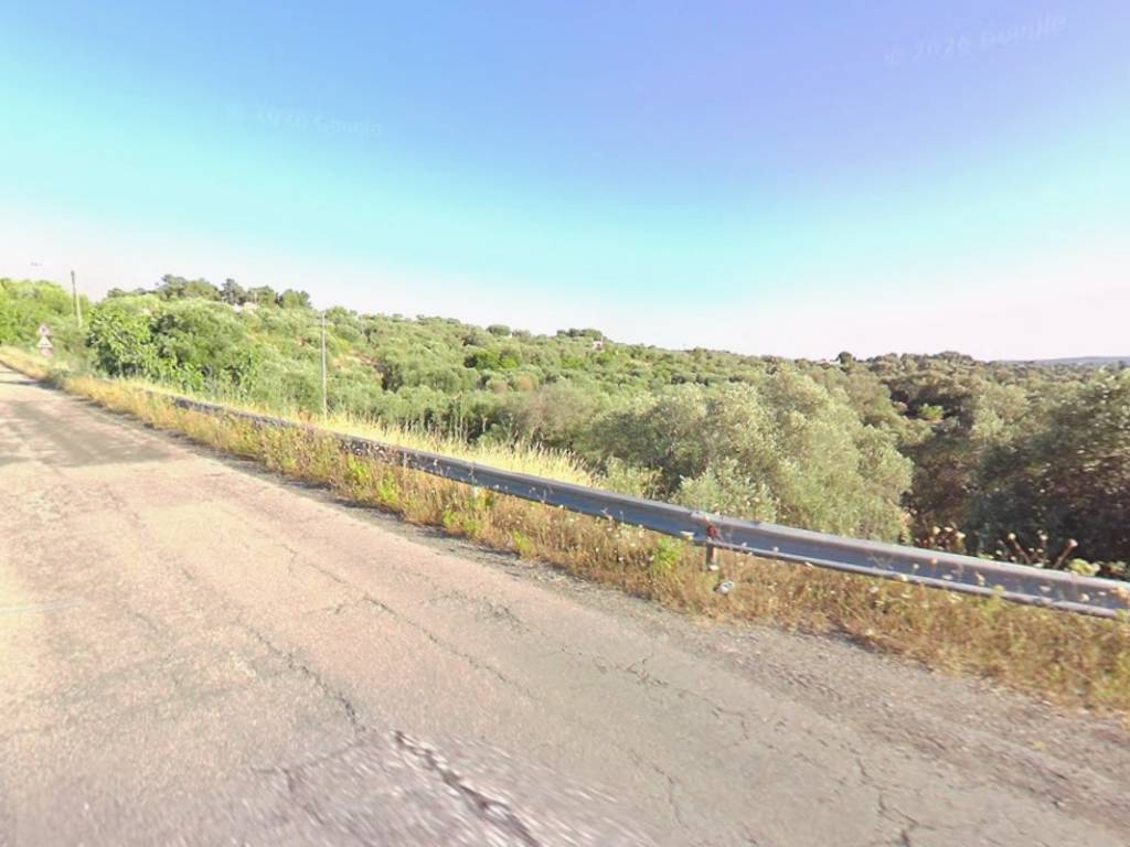 terreno agricolo in vendita ad Ostuni