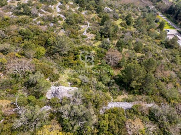 casa indipendente in vendita ad Ostuni