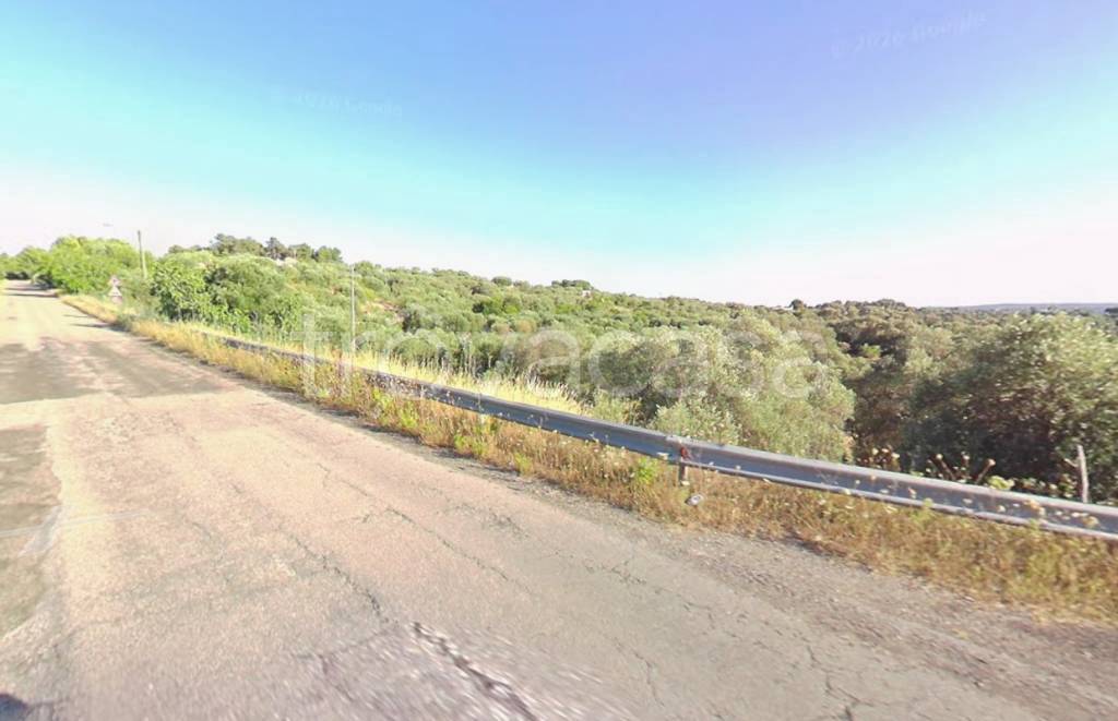 terreno agricolo in vendita ad Ostuni