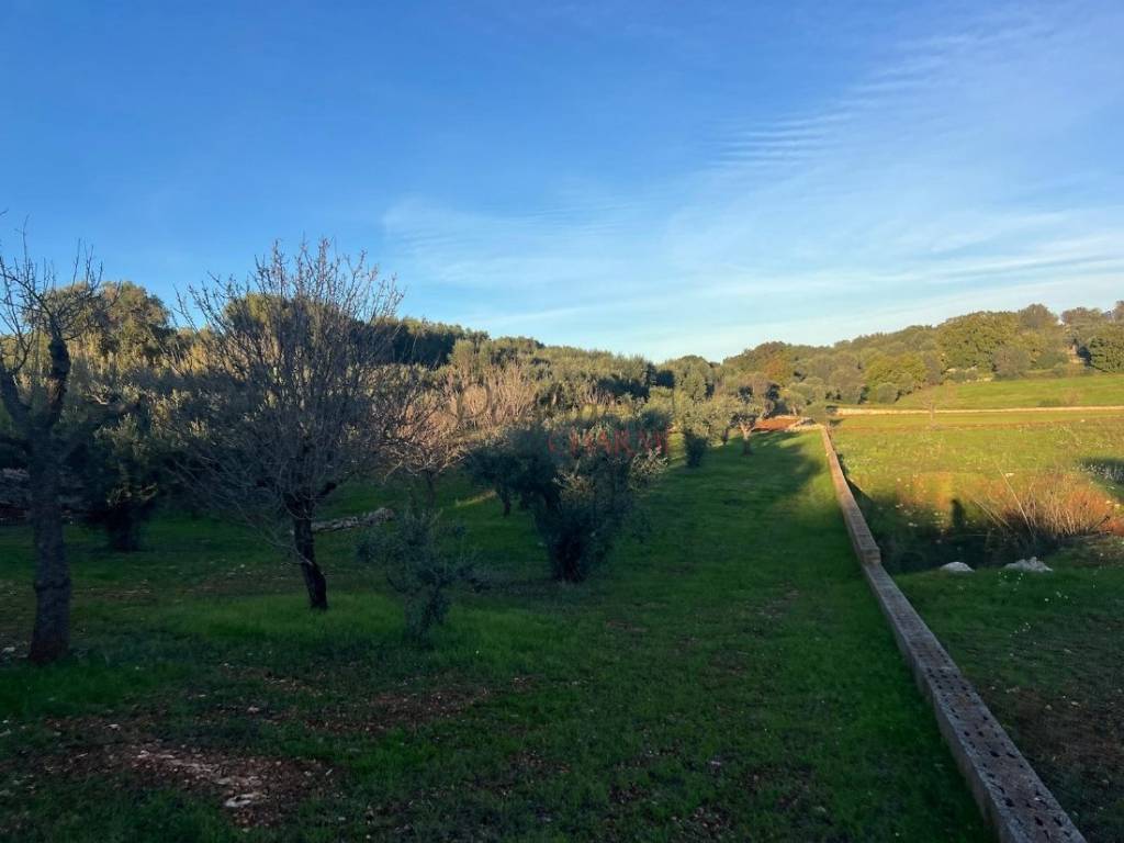 terreno agricolo in vendita ad Ostuni